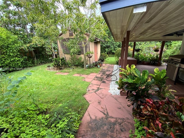 view of yard featuring a patio area and a storage shed