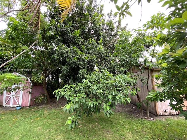 view of yard with a storage unit