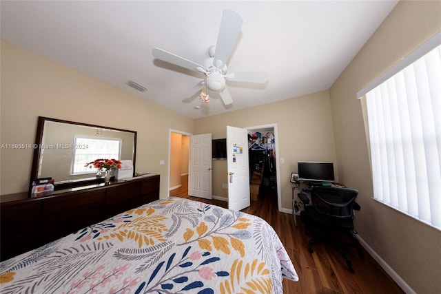 bedroom featuring a walk in closet, ceiling fan, a closet, and dark hardwood / wood-style floors