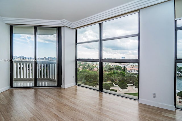 spare room with expansive windows, a healthy amount of sunlight, and light wood-type flooring