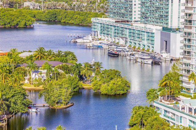 bird's eye view with a water view