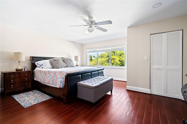 bedroom featuring ceiling fan, dark hardwood / wood-style flooring, and a closet