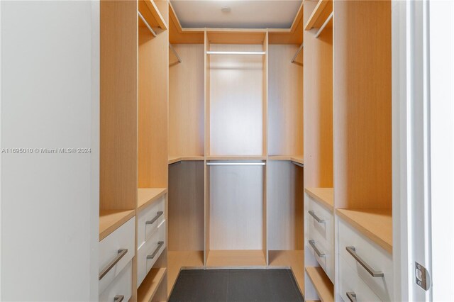 1100 Biscayne Blvd Unit 4502, Miami, FL 33132 - view of walk in closet