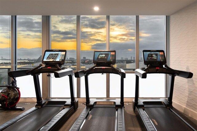 1100 Biscayne Blvd Unit 4502, Miami, FL 33132 - gym with a view of city and healthy amount of natural light