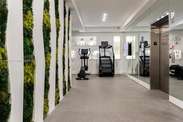 exercise room featuring carpet