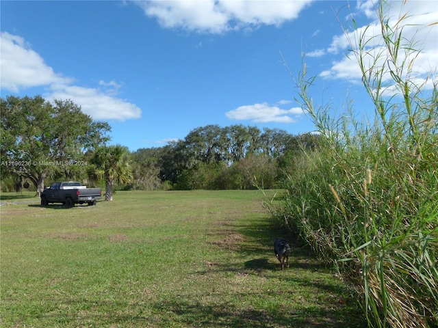 view of yard with a rural view