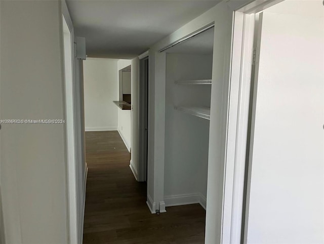 hall with dark wood-type flooring