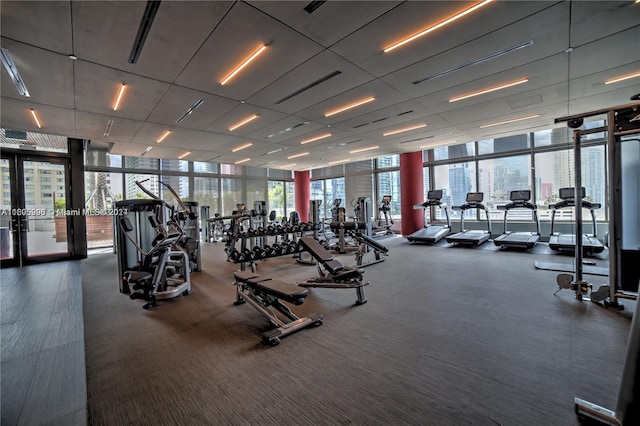 workout area with dark carpet and a wall of windows