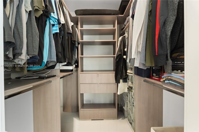 view of spacious closet