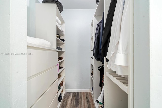 spacious closet featuring hardwood / wood-style flooring