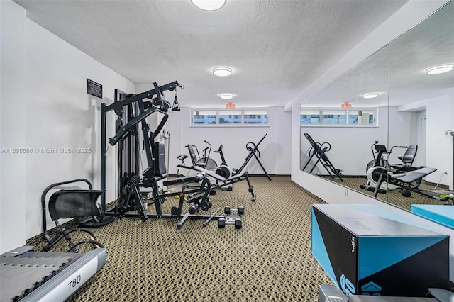 exercise area featuring a healthy amount of sunlight, a textured ceiling, and carpet flooring