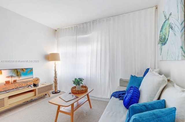 sitting room with carpet flooring