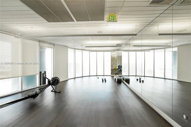 workout room with dark hardwood / wood-style flooring and a wall of windows