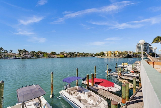 dock area with a water view