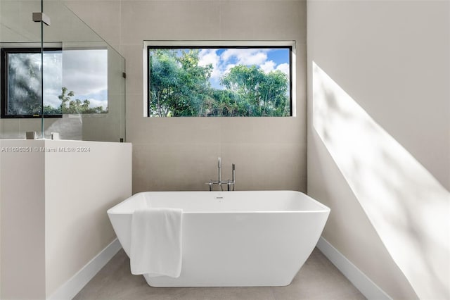 bathroom with a bathing tub