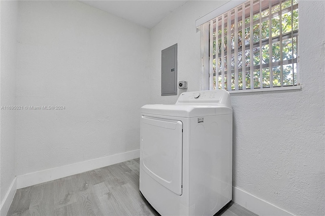 laundry area with electric panel, washer / clothes dryer, and light hardwood / wood-style floors