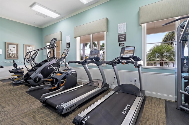 workout area featuring plenty of natural light and crown molding