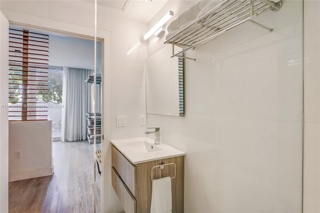 bathroom with vanity and wood-type flooring