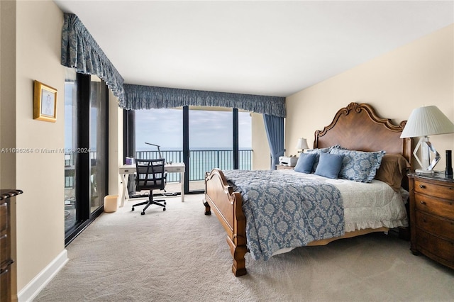 bedroom featuring carpet flooring and access to outside