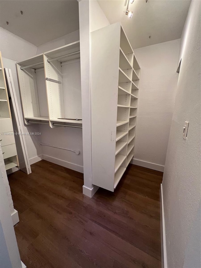 walk in closet featuring dark hardwood / wood-style flooring