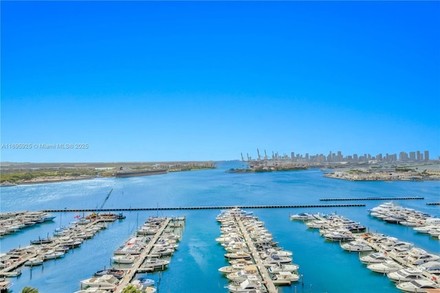 90 Alton Rd Unit 1902, Miami Beach, FL 33139 - water view with skyline and a marina