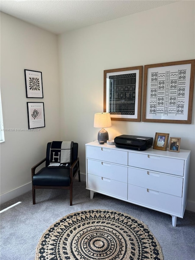 sitting room featuring carpet flooring