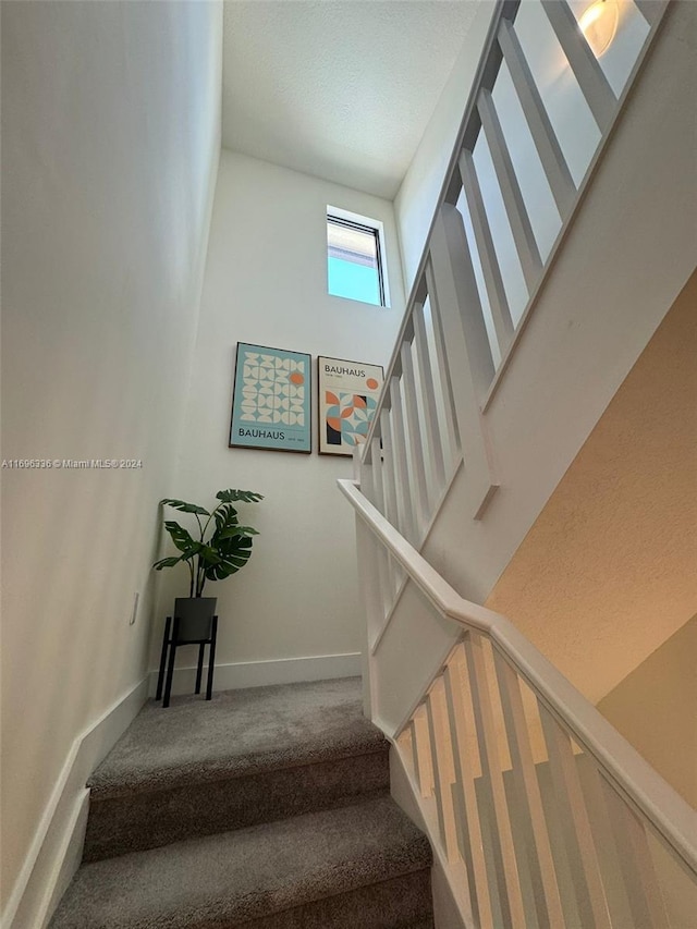 stairs featuring carpet