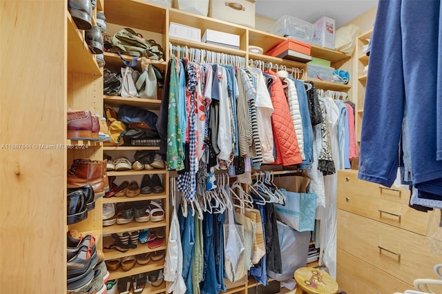 view of spacious closet