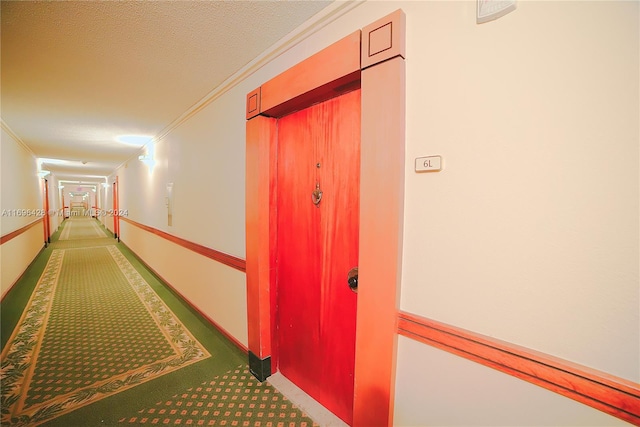 hall featuring ornamental molding and a textured ceiling