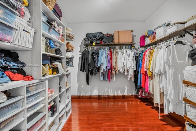 spacious closet featuring hardwood / wood-style floors