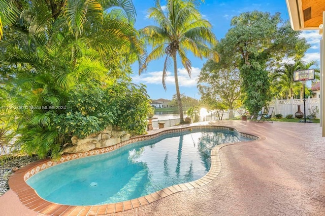 view of swimming pool with a patio