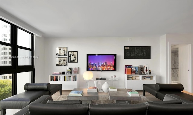 living room featuring wood-type flooring