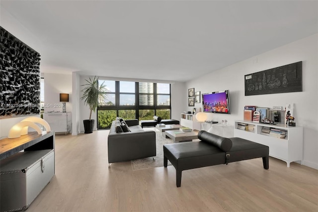 living room with light hardwood / wood-style flooring