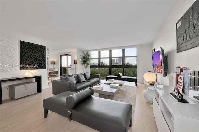 living room featuring light wood-type flooring