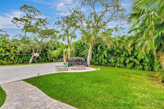 view of yard featuring a patio area