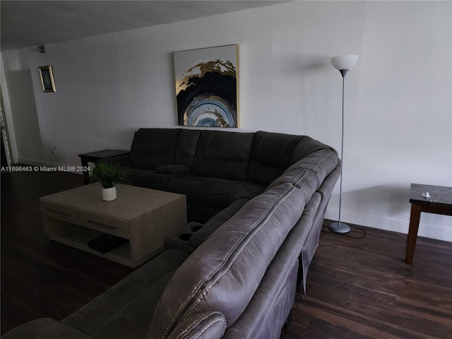 living room featuring dark wood-type flooring