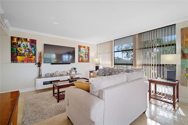 living room featuring crown molding