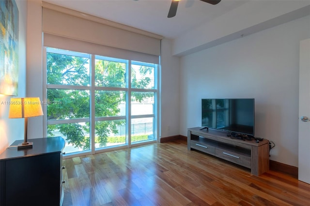 living room with ceiling fan and hardwood / wood-style flooring