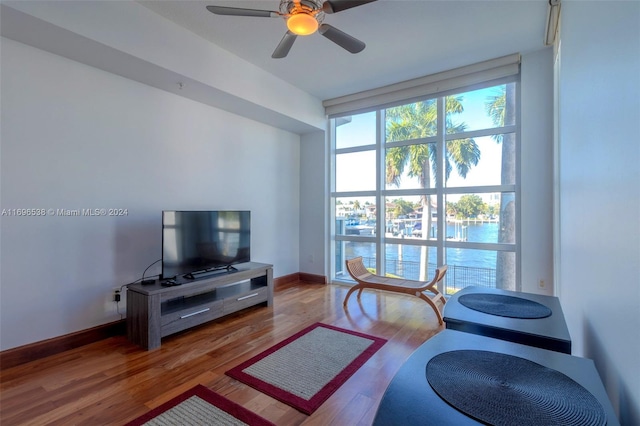 living room with ceiling fan and hardwood / wood-style floors