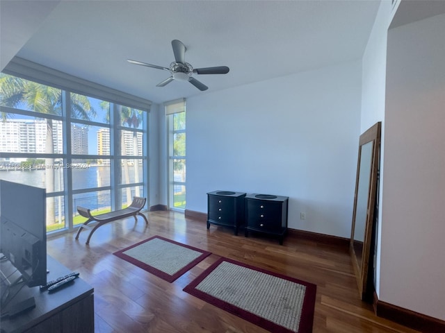 unfurnished office with ceiling fan and dark wood-type flooring