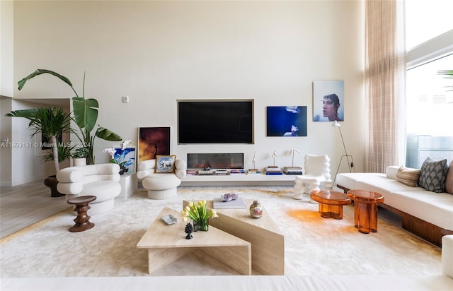 living room with hardwood / wood-style floors and a towering ceiling