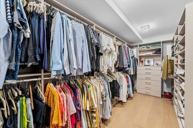 walk in closet featuring light hardwood / wood-style flooring