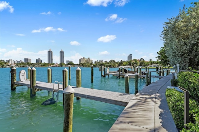 view of dock with a water view