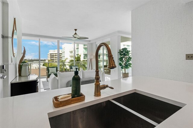 details featuring ceiling fan and sink