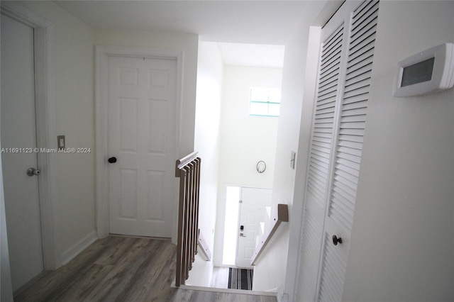 hallway featuring dark wood-type flooring