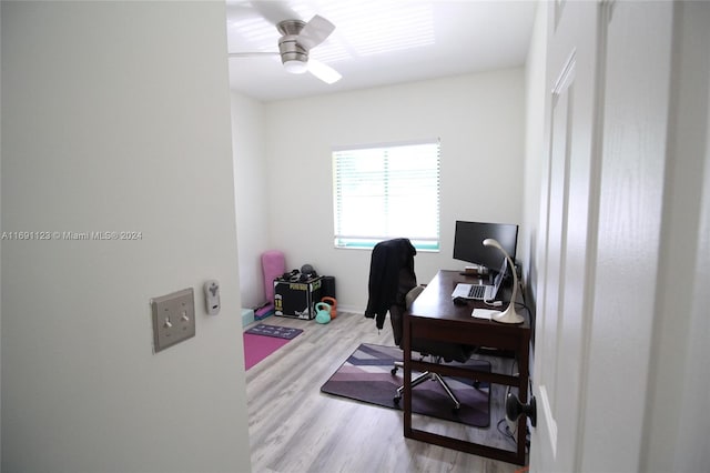 office space with light hardwood / wood-style flooring and ceiling fan