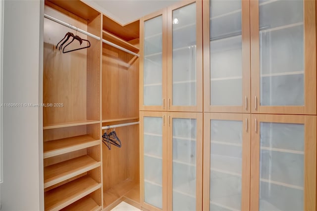 view of walk in closet