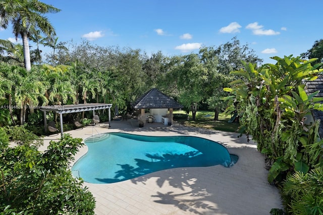 view of swimming pool with a patio area