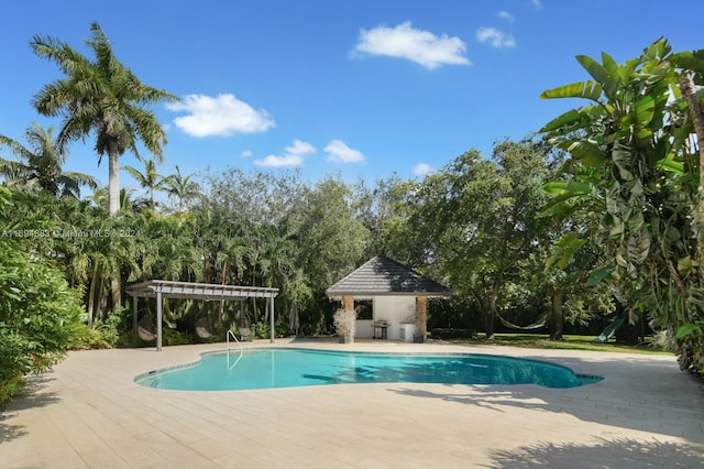 view of swimming pool