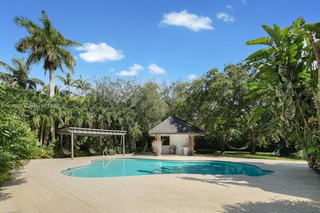 10001 SW 60th Ct, Pinecrest, FL 33156 - photo 67